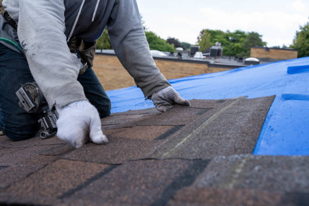 Best Roof Moss and Algae Removal  in Springville, UT